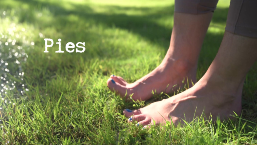 talleres movimiento somatico pies