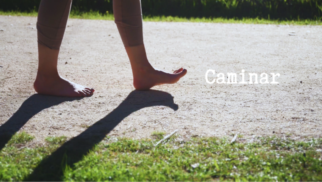 talleres movimiento somatico caminar