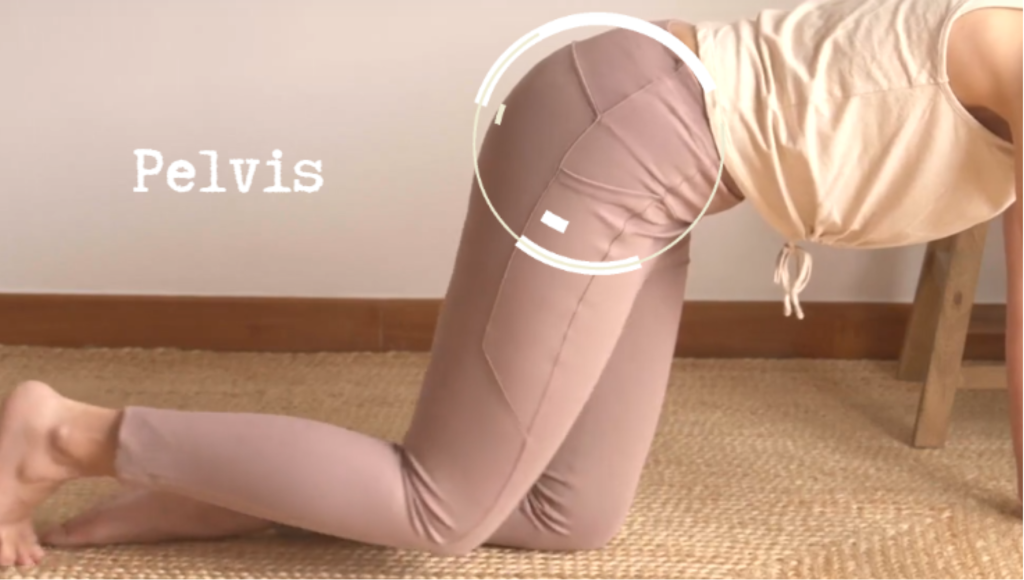 talleres movimiento somatico pelvis