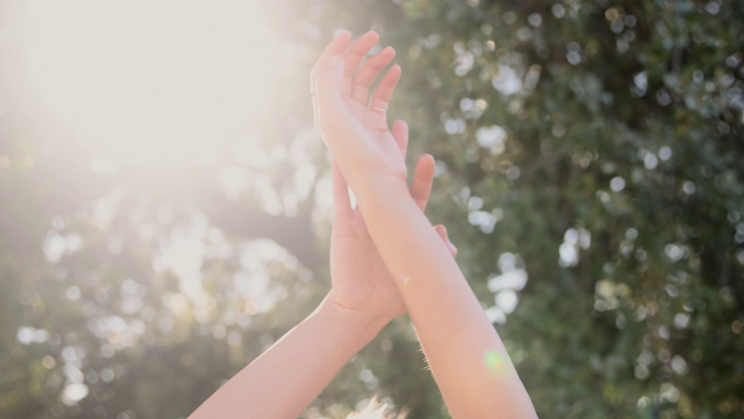 Sentir en Movimiento Somático